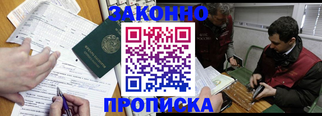 прописка для школы в Звенигово